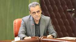 مجوز واردات 5.5 میلیون تن نهاده‌های دامی از ستاد تنظیم بازار اخذ شد/ تاکید بر تامین پایدار ارز و برخورد با فروش خارج از بازارگاه